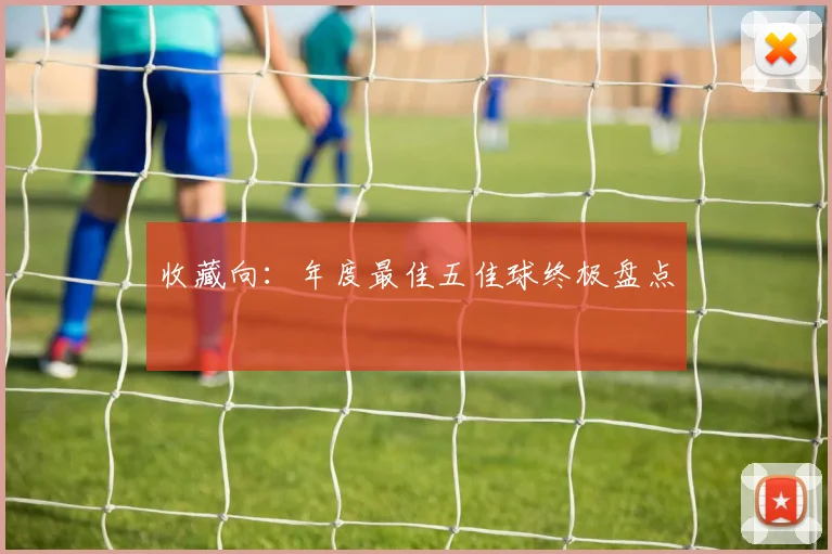 收藏向：年度最佳五佳球终极盘点